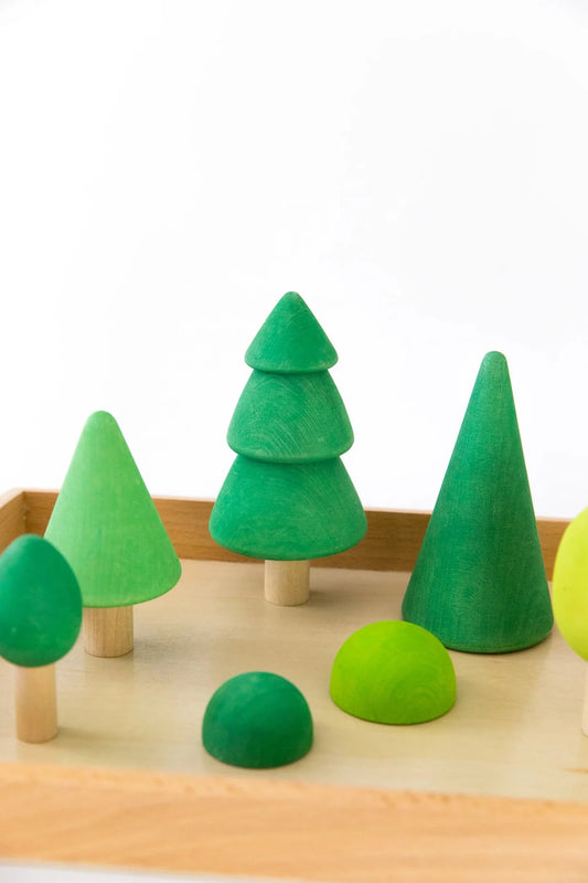 Green Forest Trees